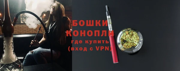 spice Ладушкин