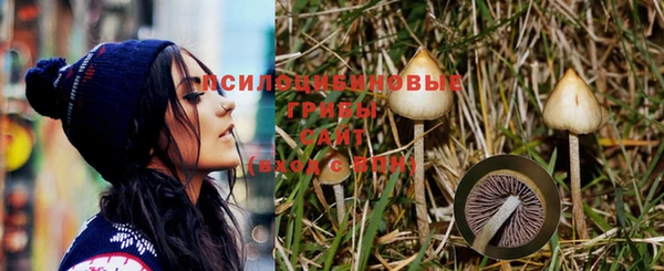 шишки Лагань