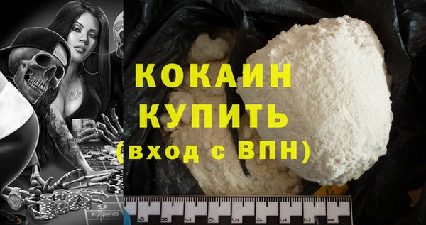 шишки Лагань