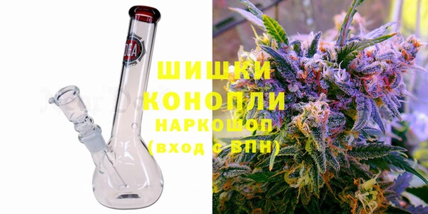 хмурый Лиски
