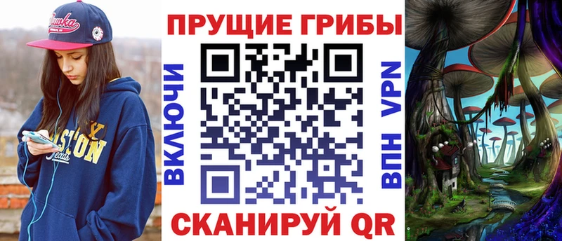 Галлюциногенные грибы Psilocybe  Екатеринбург 