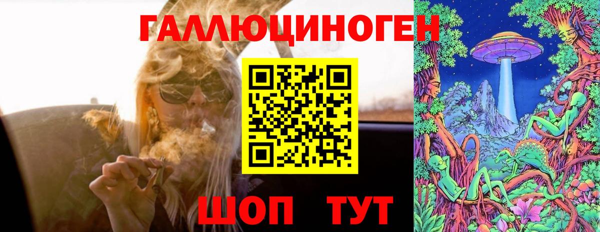 Екатеринбург  Галлюциногенные грибы Psilocybe  Вход с VPN 